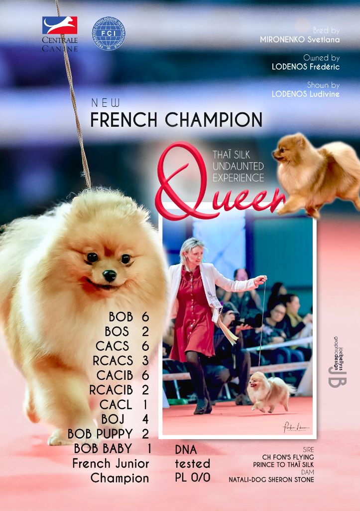 du Diamant d'Or - Queen Championne de France 2018