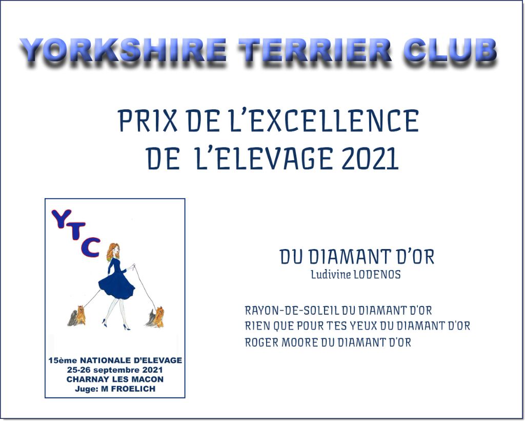 Prix excellence 2021 