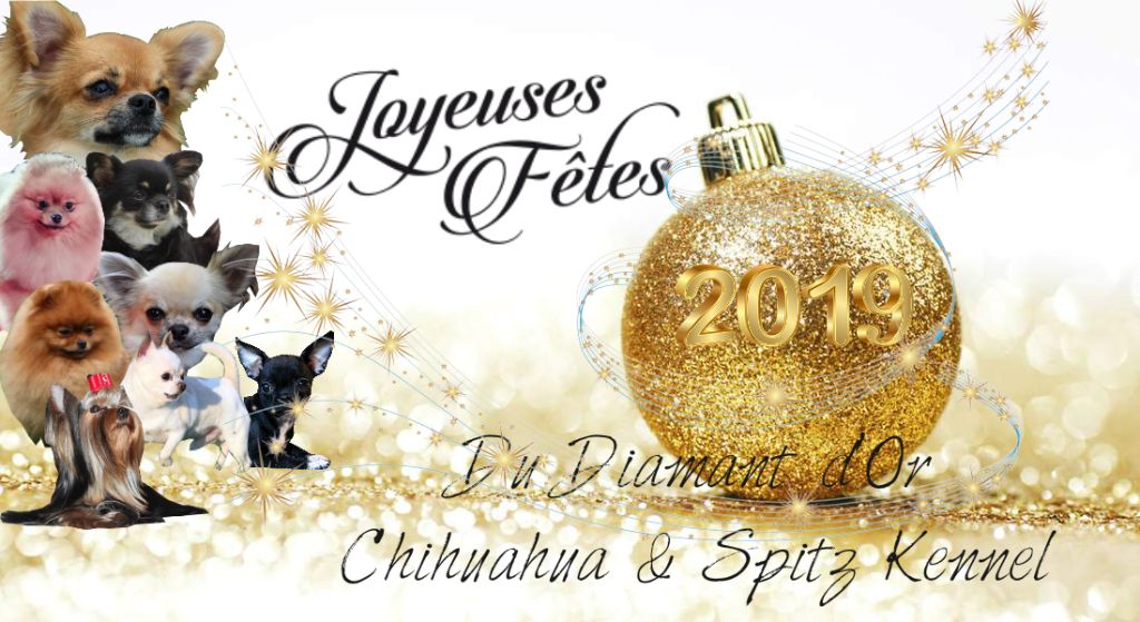 Joyeuses Fêtes